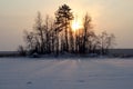 Cluster of trees hiding the autumn sun near Ã¢â¬â¹Ã¢â¬â¹Savonlinna Finland